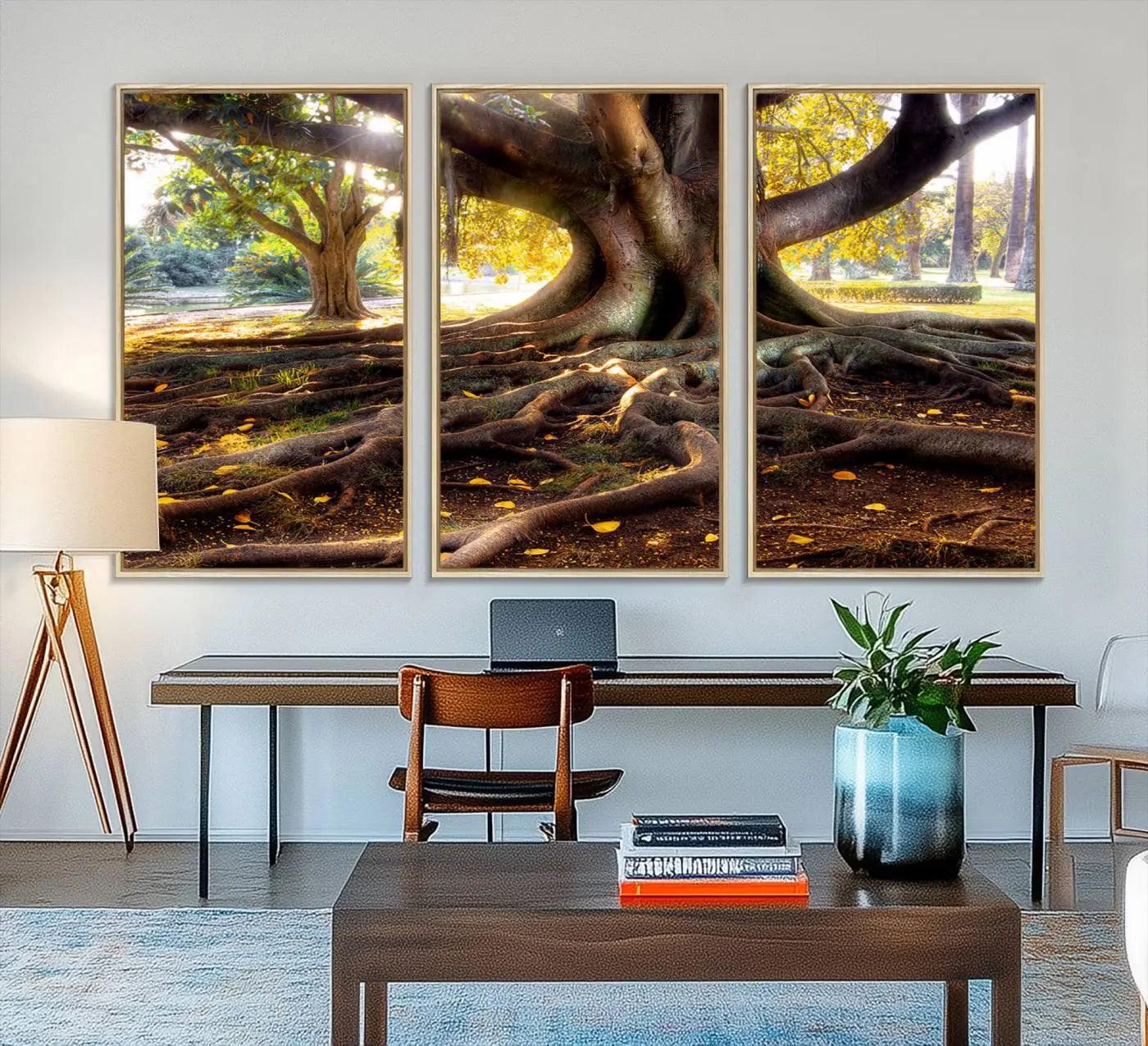 53335-MGV-FC-48X32-3P_Natural-Banyan Tree Canvas Wall Art Print - Majestic Roots and Sunlit Canopy, Moreton Bay Fig Tree Art for