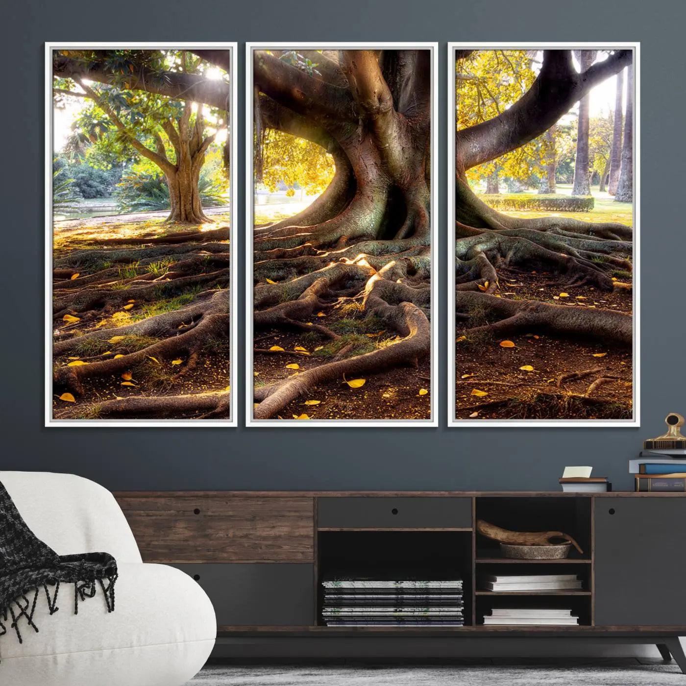 53335-MGV-FC-48X32-3P_White-Banyan Tree Canvas Wall Art Print - Majestic Roots and Sunlit Canopy, Moreton Bay Fig Tree Art for