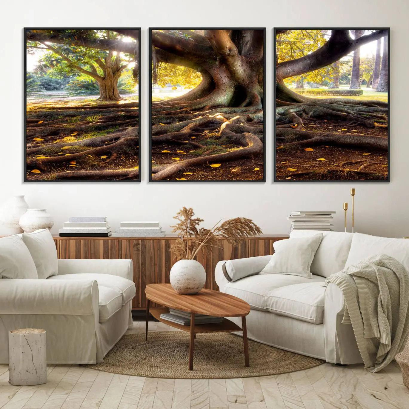 53335-MGV-FC-60X30-3P_Black-Banyan Tree Canvas Wall Art Print - Majestic Roots and Sunlit Canopy, Moreton Bay Fig Tree Art for