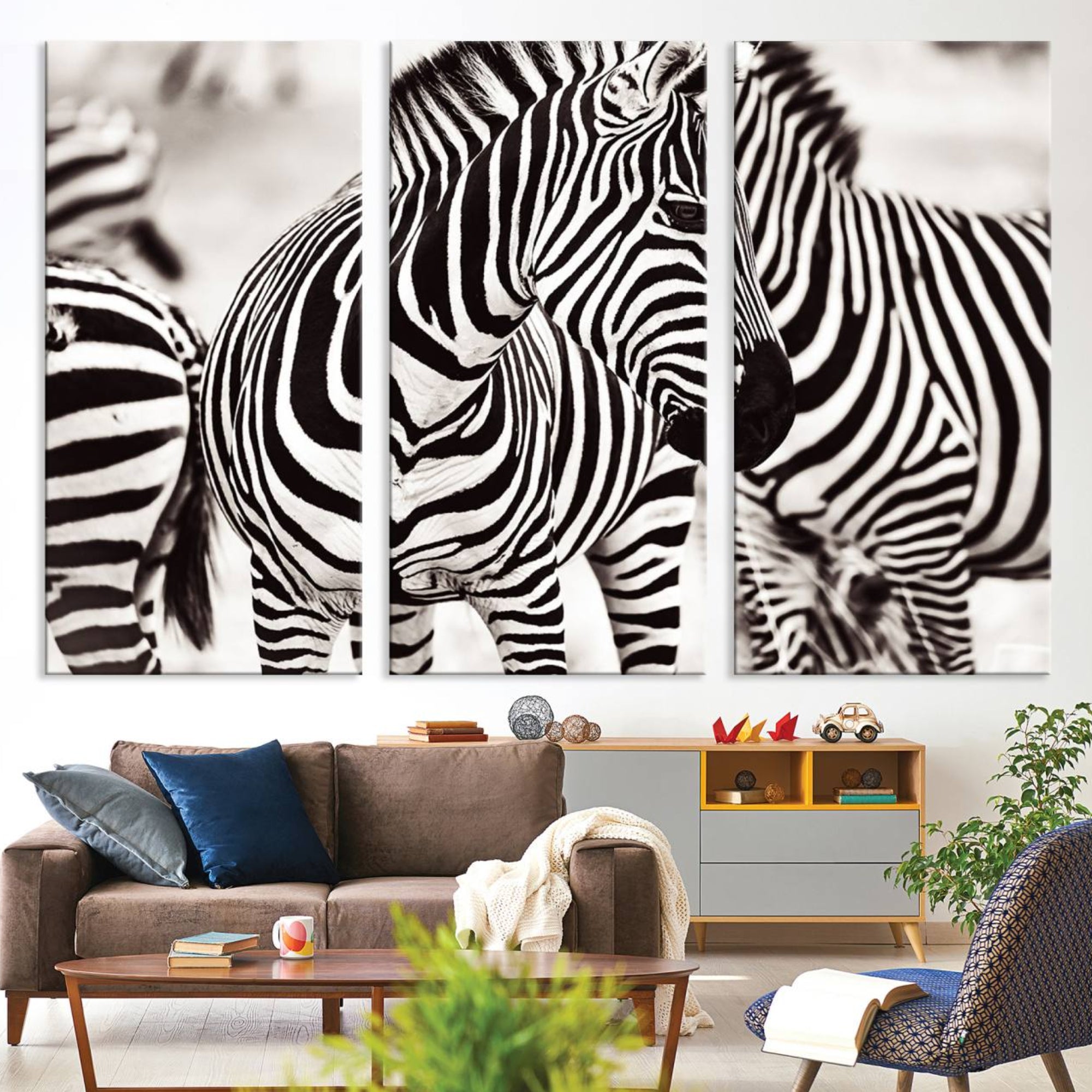 16897-MGV-CV-36X24-Brilliant Zebra Photography Art Canvas Print Black and White