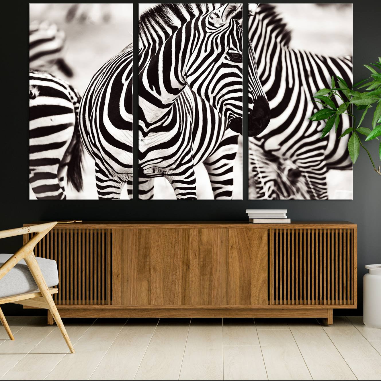 16897-MGV-CV-36X24-Brilliant Zebra Photography Art Canvas Print Black and White