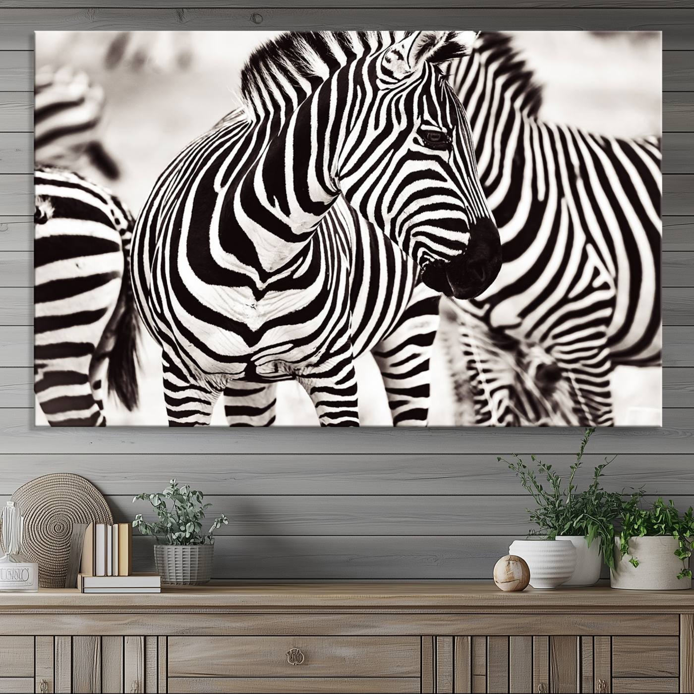 16897-MGV-CV-36X24-Brilliant Zebra Photography Art Canvas Print Black and White