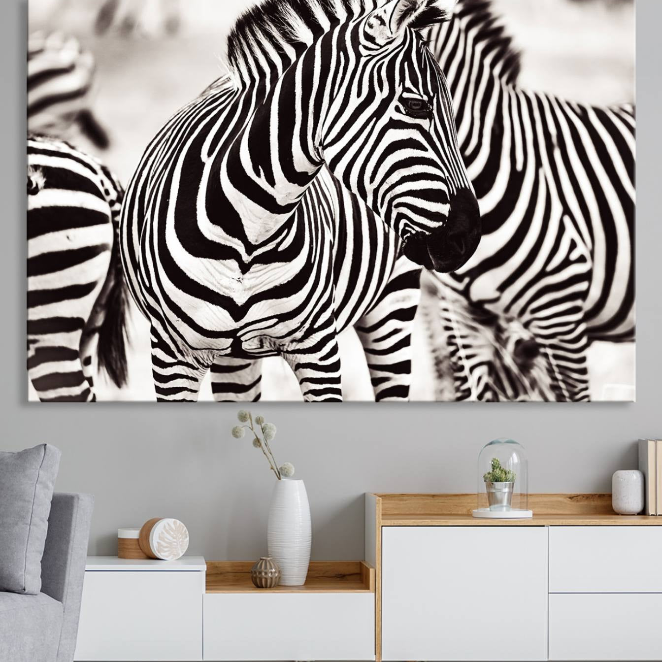 -Brilliant Zebra Photography Art Canvas Print Black and White