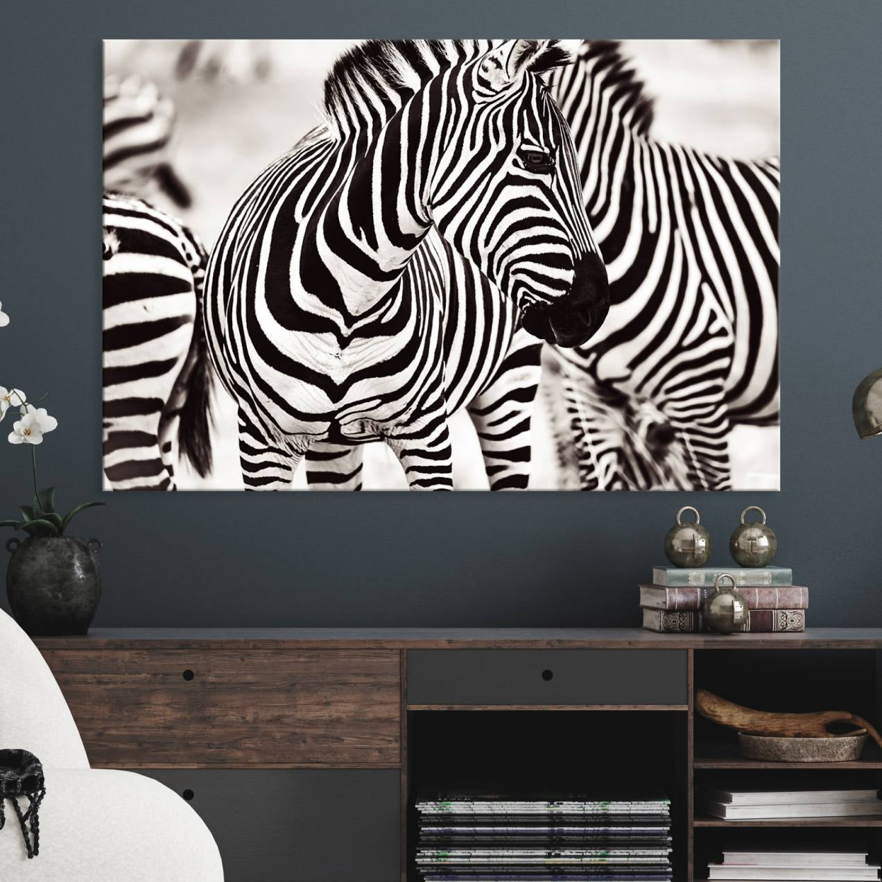 16897-MGV-CV-36X24-Brilliant Zebra Photography Art Canvas Print Black and White