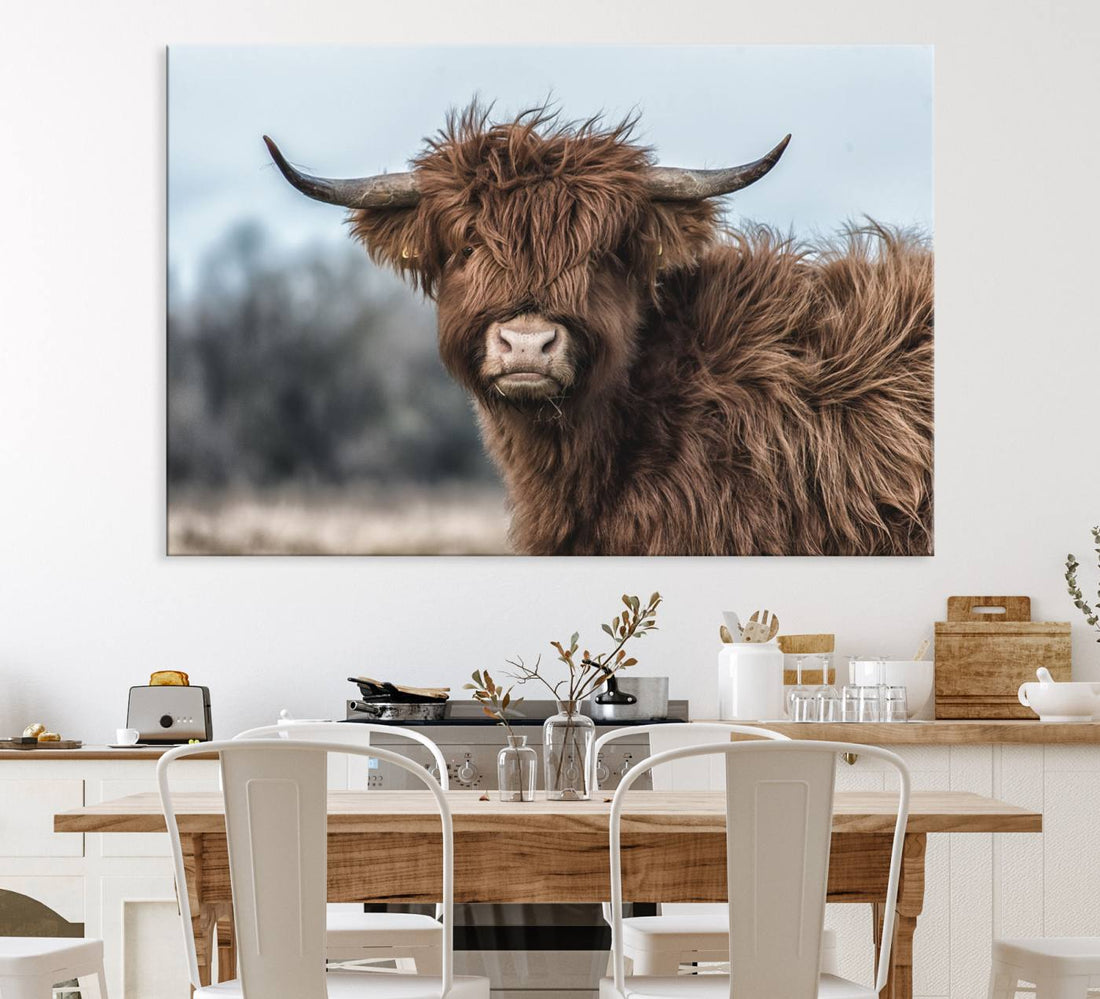 Fluffy Highland Cow Photograph Wall Art Canvas | Black and White Cattle Print