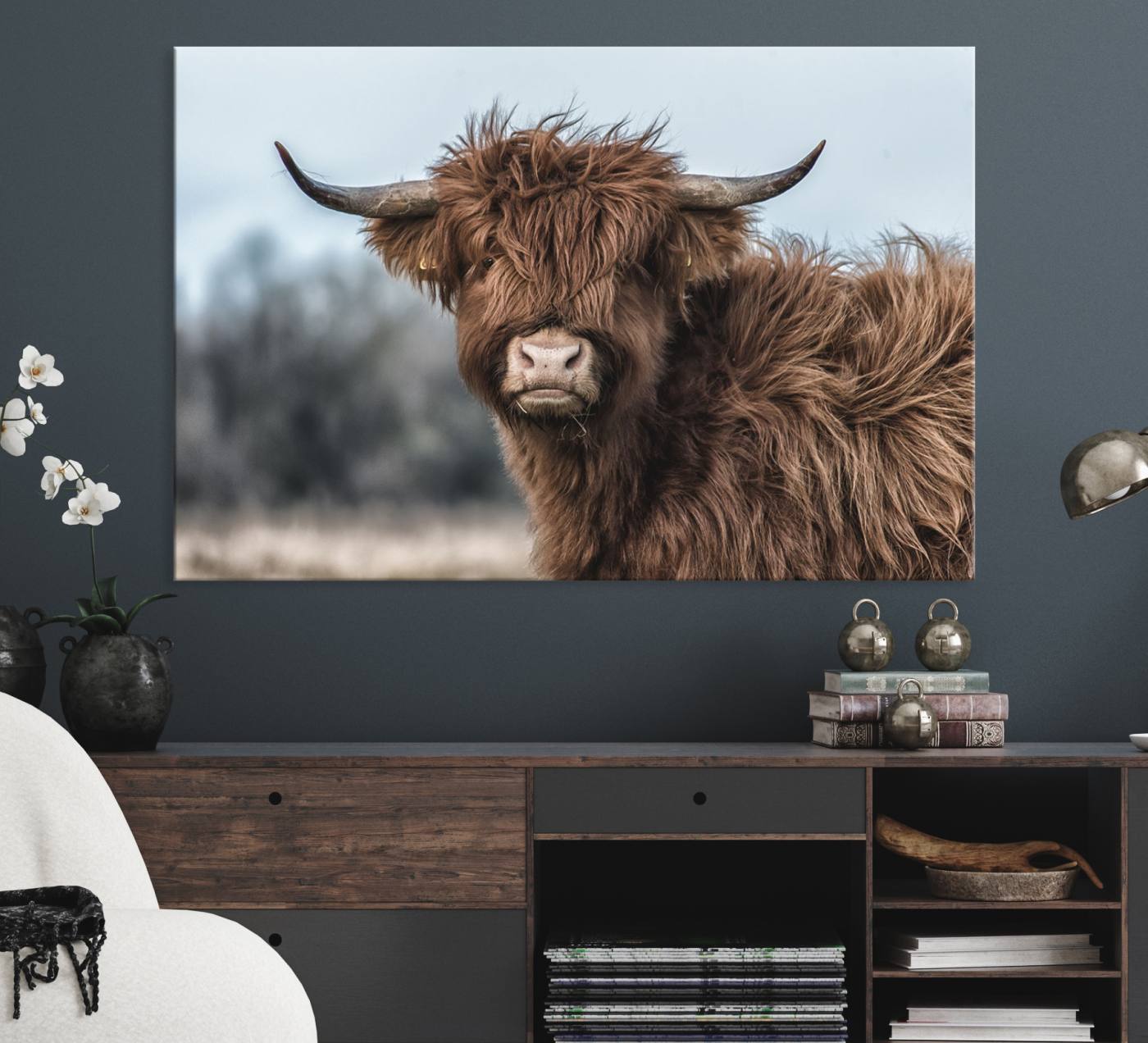 -Fluffy Highland Cow Photograph Wall Art Canvas, Black And White Cattle Canvas Print