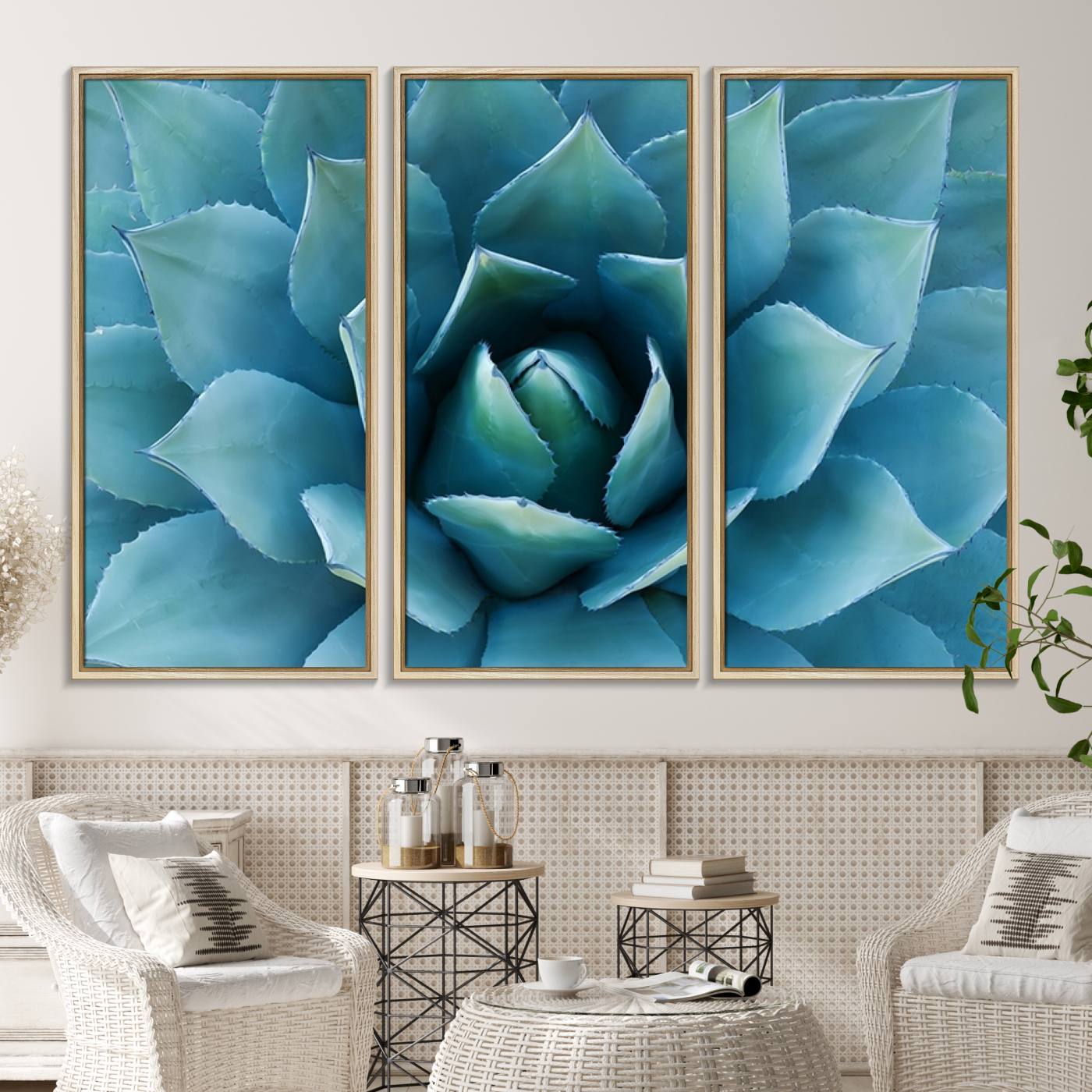 -Large Agave Succulent Canvas Wall Art | Botanical Close-Up Print for Modern Living Room, Office, and