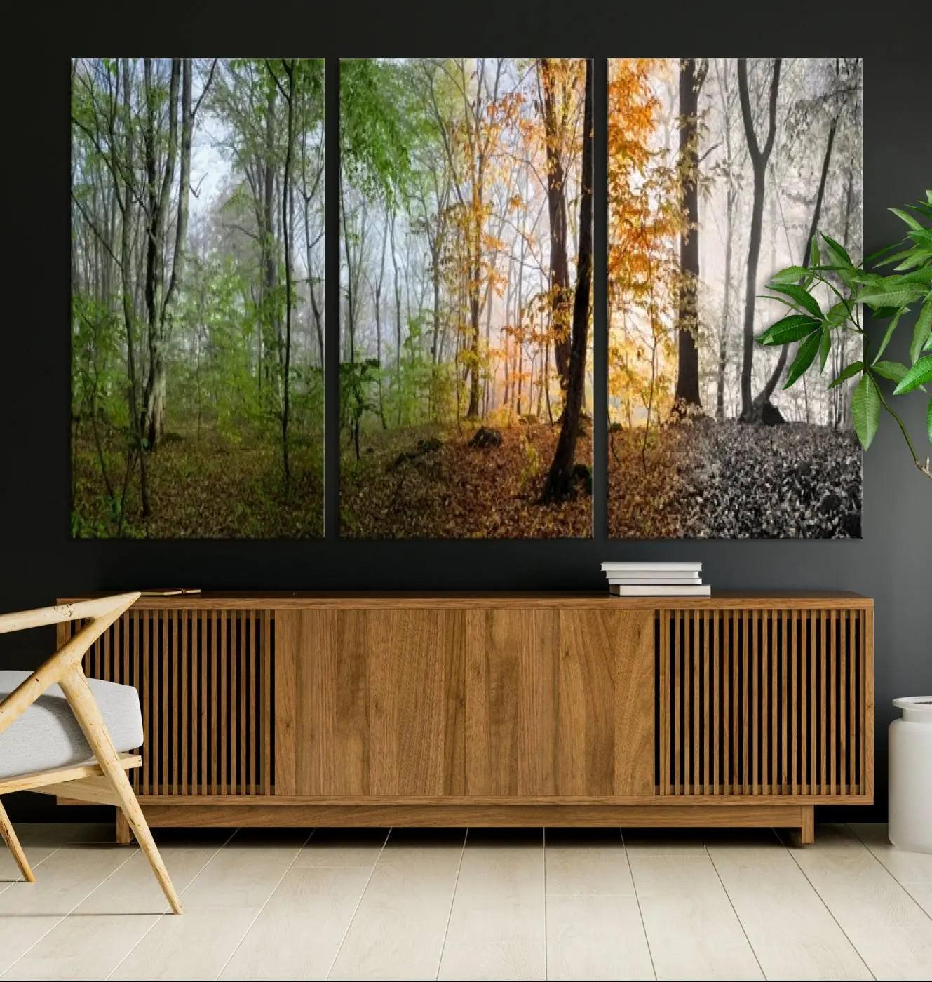 -Seasonal Forest Canvas Wall Art Print - Changing Seasons in Nature Triptych - Ready to Hang Woodland