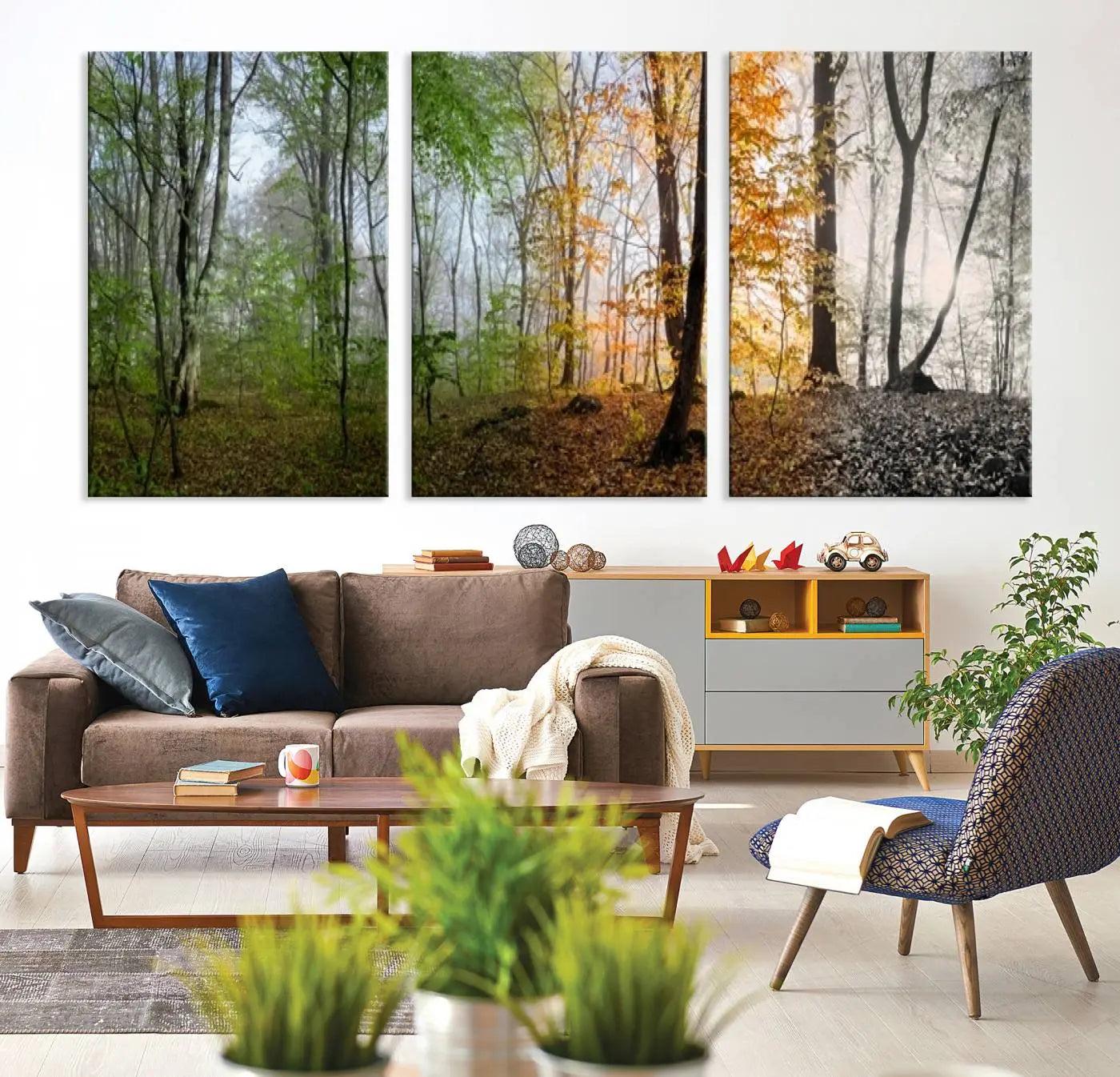 -Seasonal Forest Canvas Wall Art Print - Changing Seasons in Nature Triptych - Ready to Hang Woodland