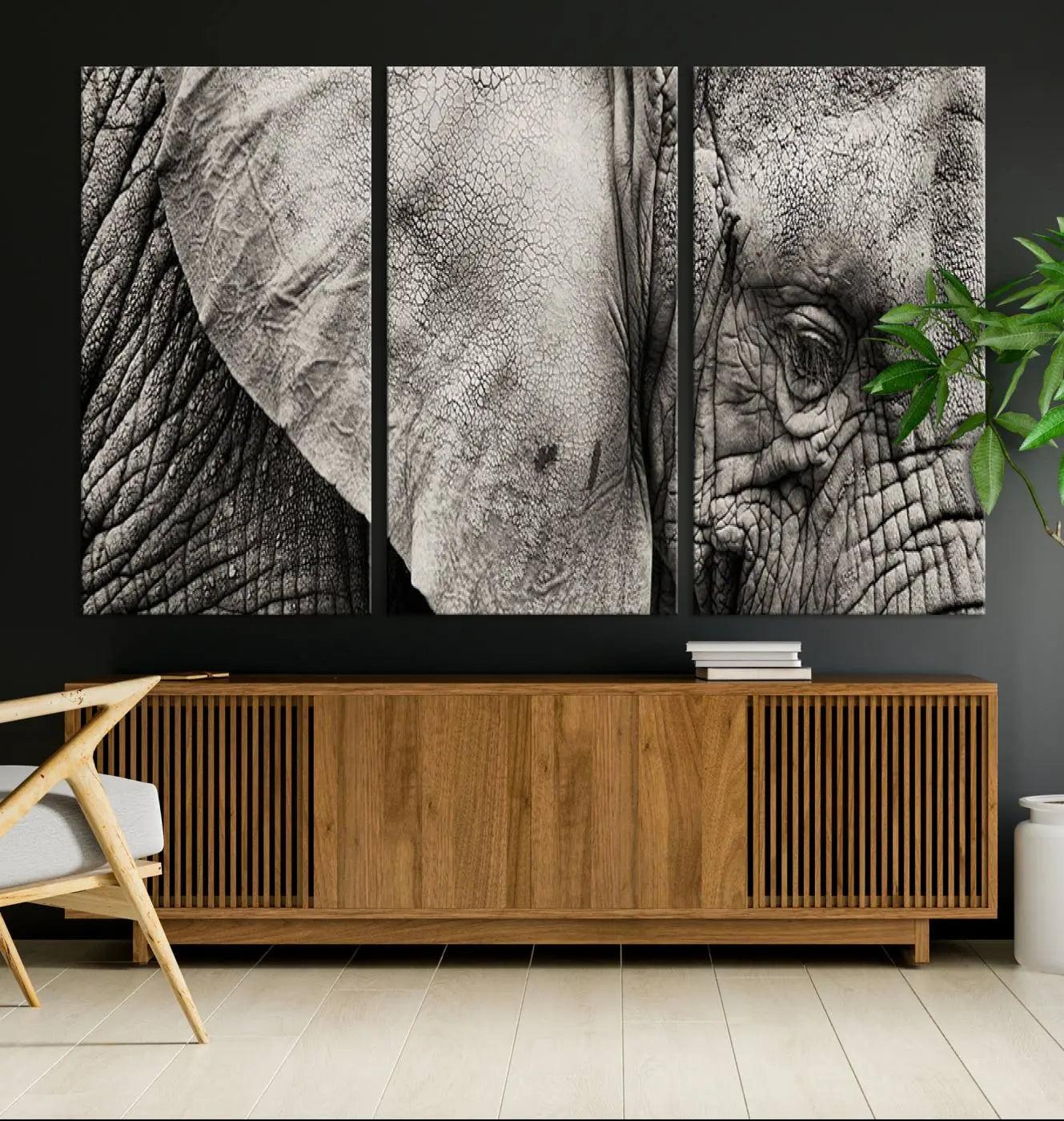 -Wall Art Animal Canvas Print Close Taken Elephant with Big Ivories