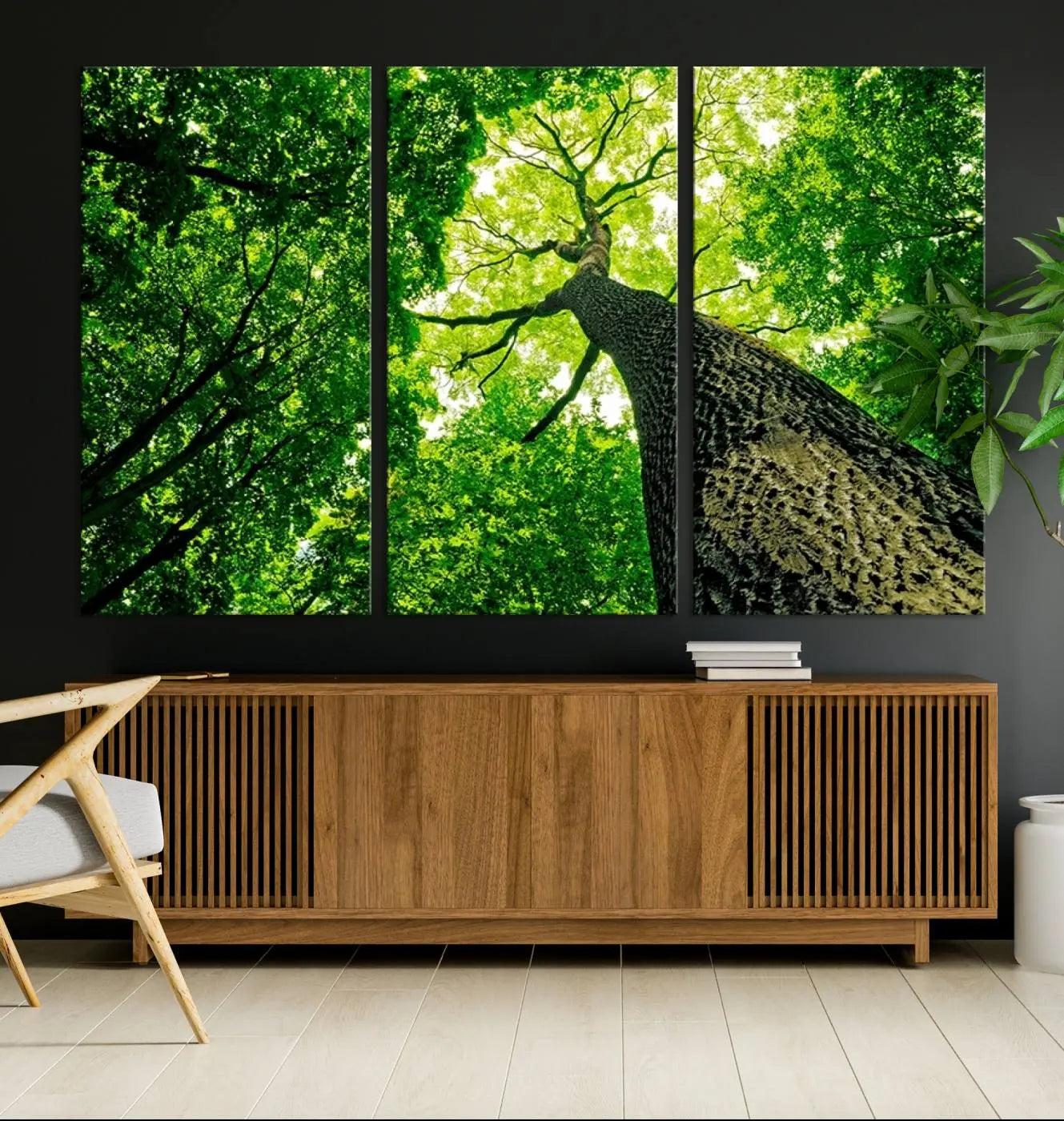 66341-MGV-CV-36X24-Forest Wall Art Canvas Print - Green Tree Wall Art Print