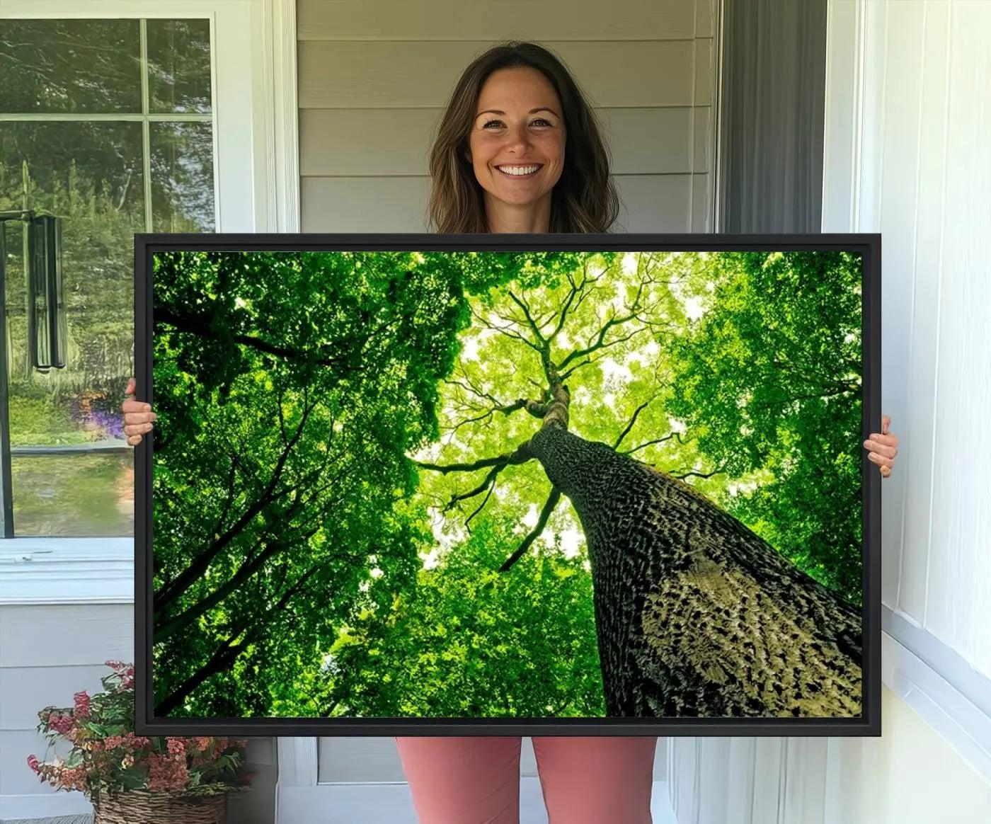 66341-MGV-FC-36X24_Black-Forest Wall Art Canvas Print - Green Tree Wall Art Print