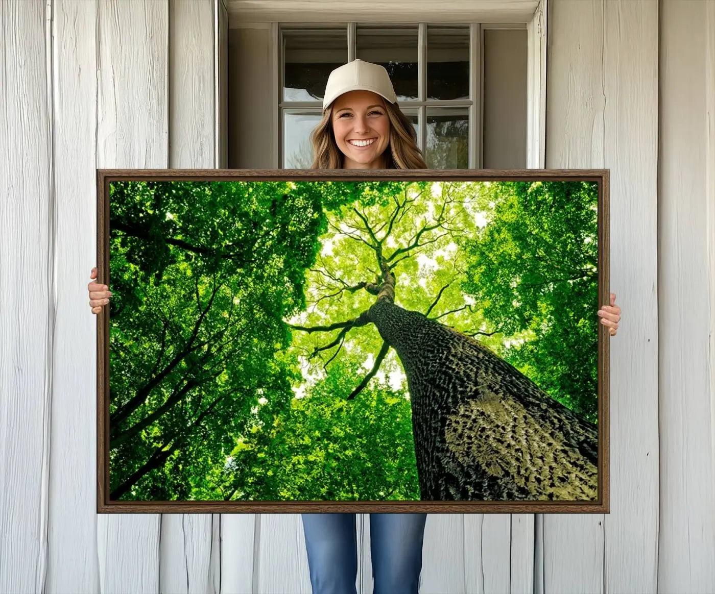 66341-MGV-FC-36X24_Walnut-Forest Wall Art Canvas Print - Green Tree Wall Art Print
