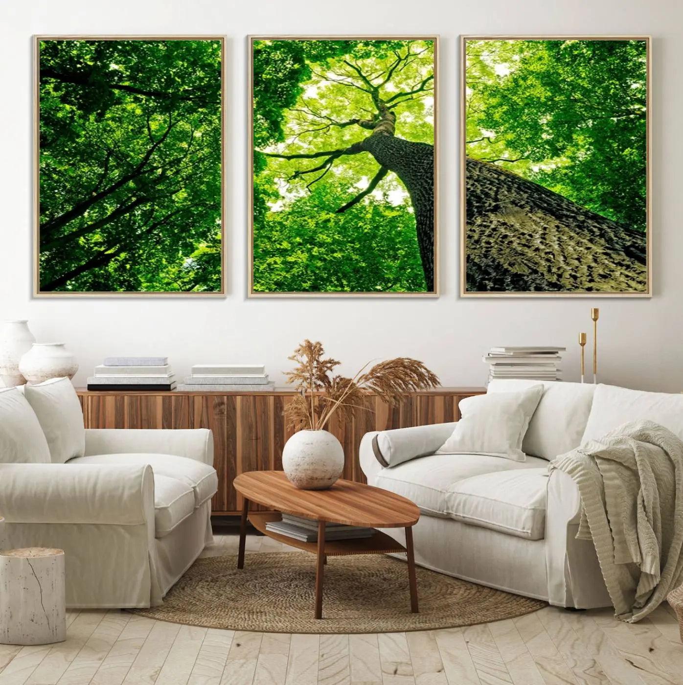 66341-MGV-FC-60X30-3P_Natural-Forest Wall Art Canvas Print - Green Tree Wall Art Print