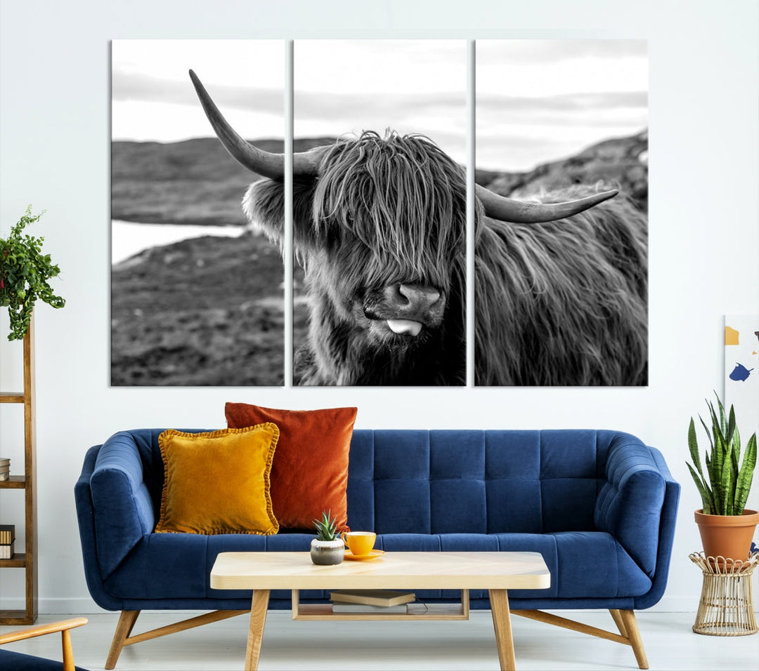 Scottish Highland Cow Cattle Art Print Farmhouse Wall Art Canvas Print