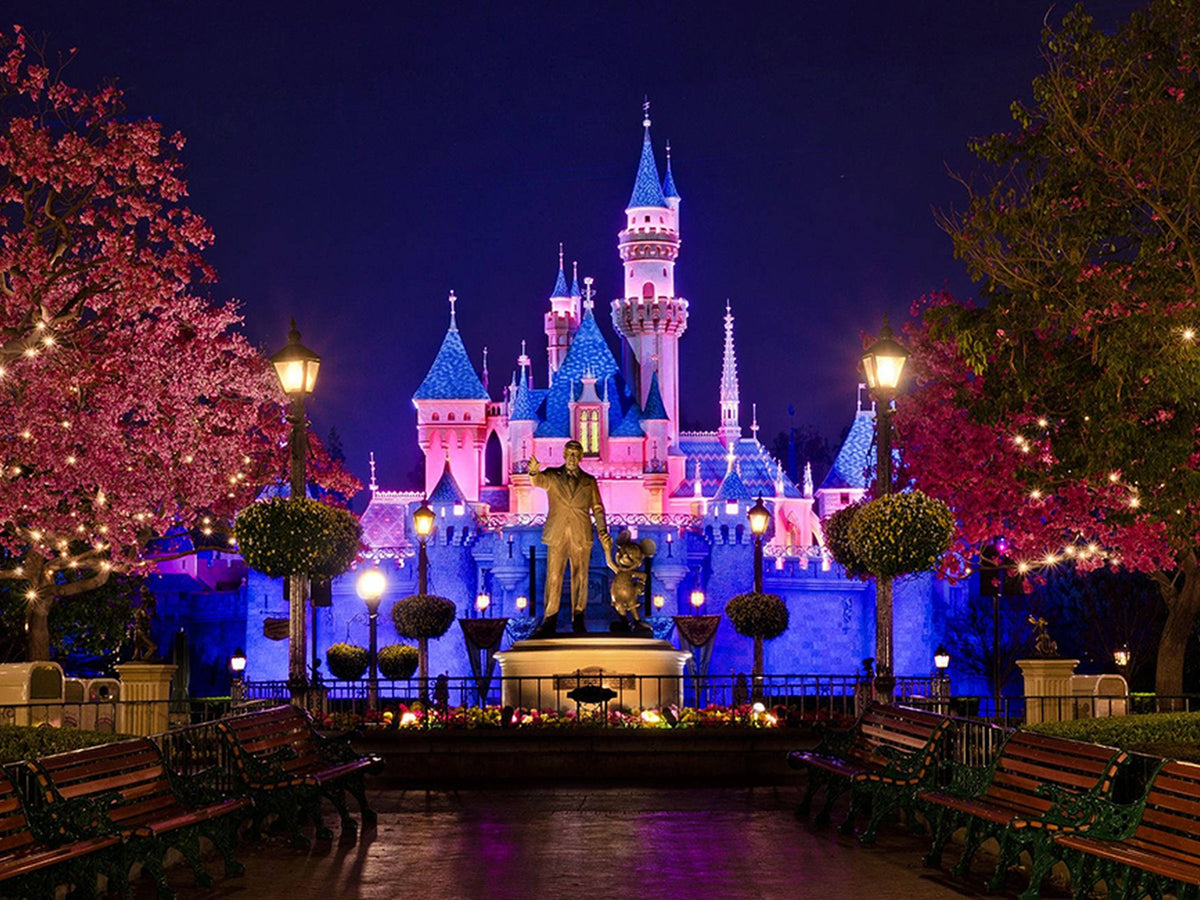 79435-MGV-CV-24X16 - Castle Large Wall Art, Disney Magic Kingdom Kids Room Decor and Christmas Gift