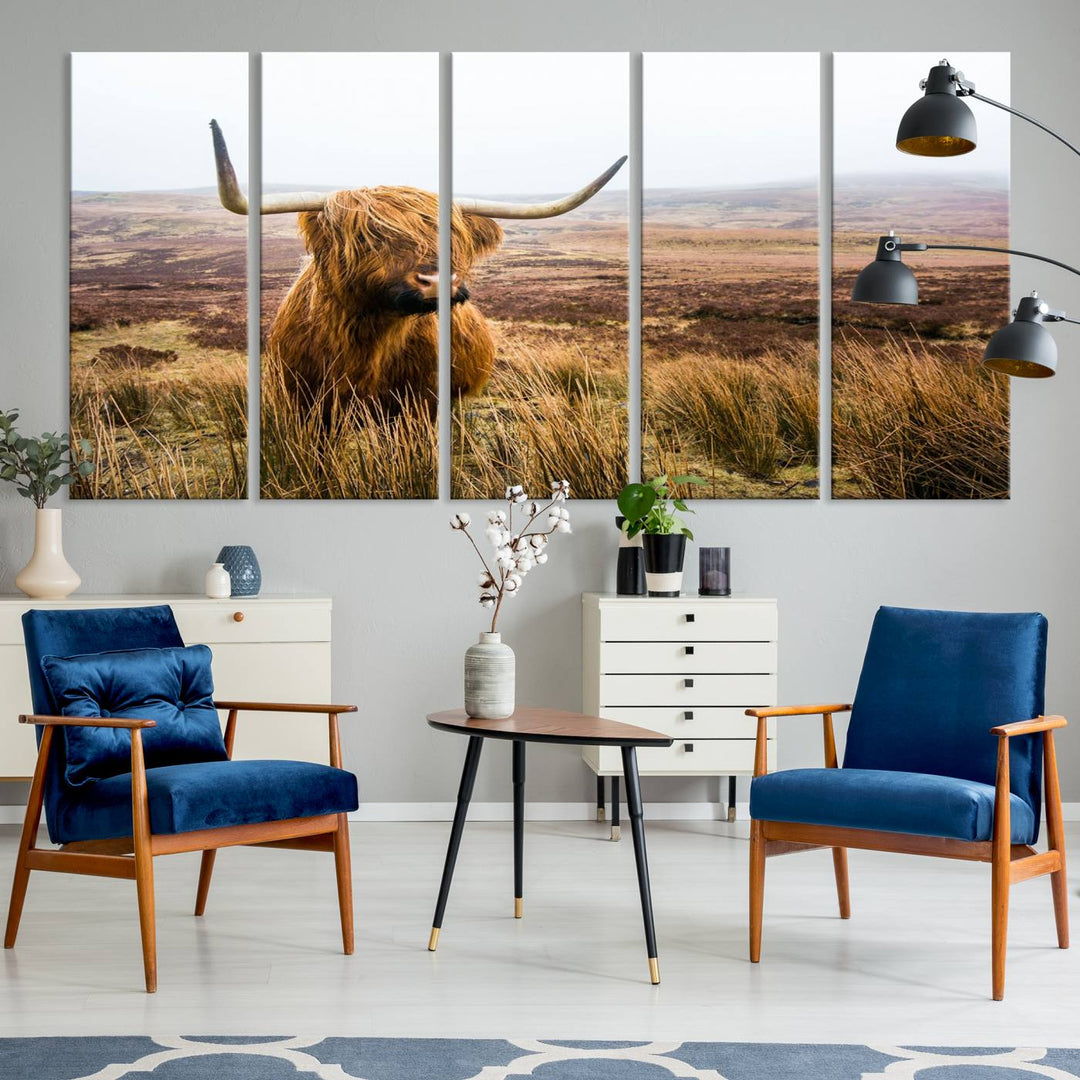 A ready-to-hang Scottish Highland Cow Cattle Canvas Wall Art.