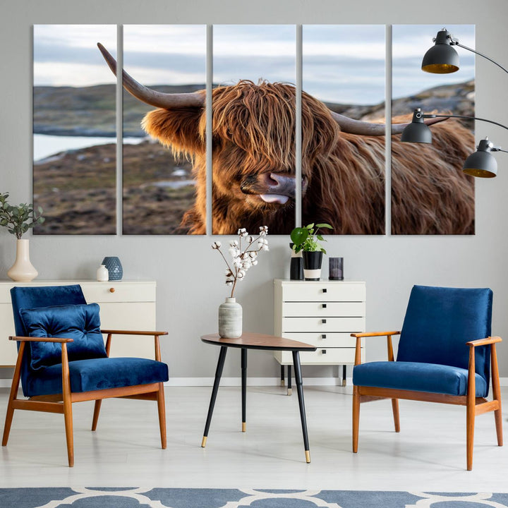 The Cuddly Highland Cow Canvas hangs, adding charm with its shaggy elegance.