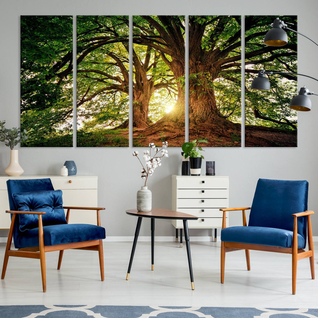 Majestic Ancient Tree Wall Art is illuminated by sunlit forest rays.