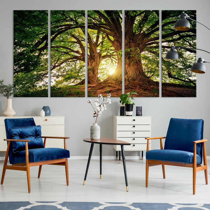 Majestic Ancient Tree Wall Art is illuminated by sunlit forest rays.