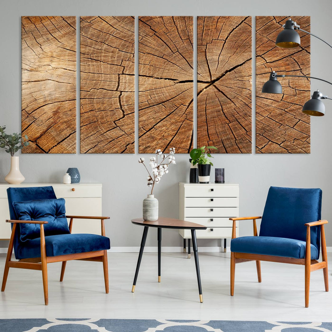 Tree Ring Canvas Art decorates a textured wall.