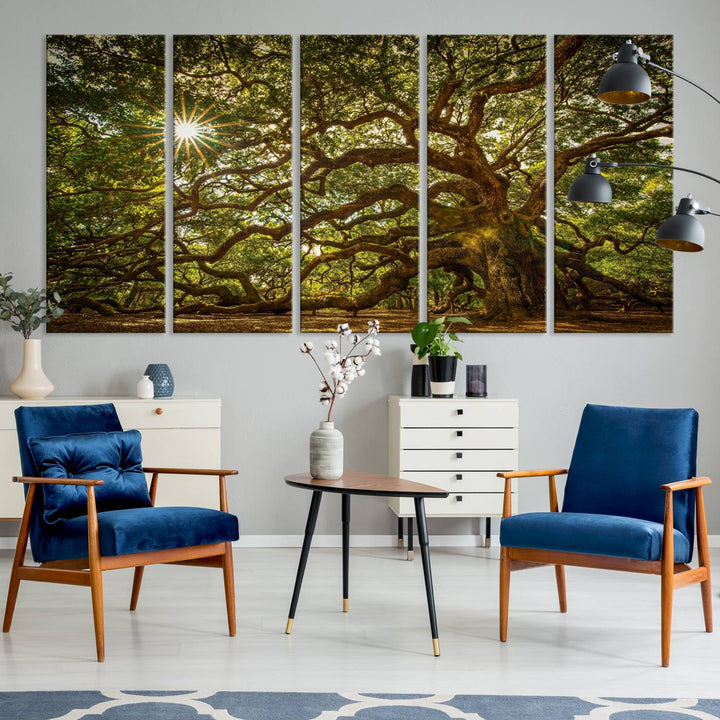 The Ancient Angel Oak Tree Art Sunburst Canvas Print, a framed triptych, serves as wall art.