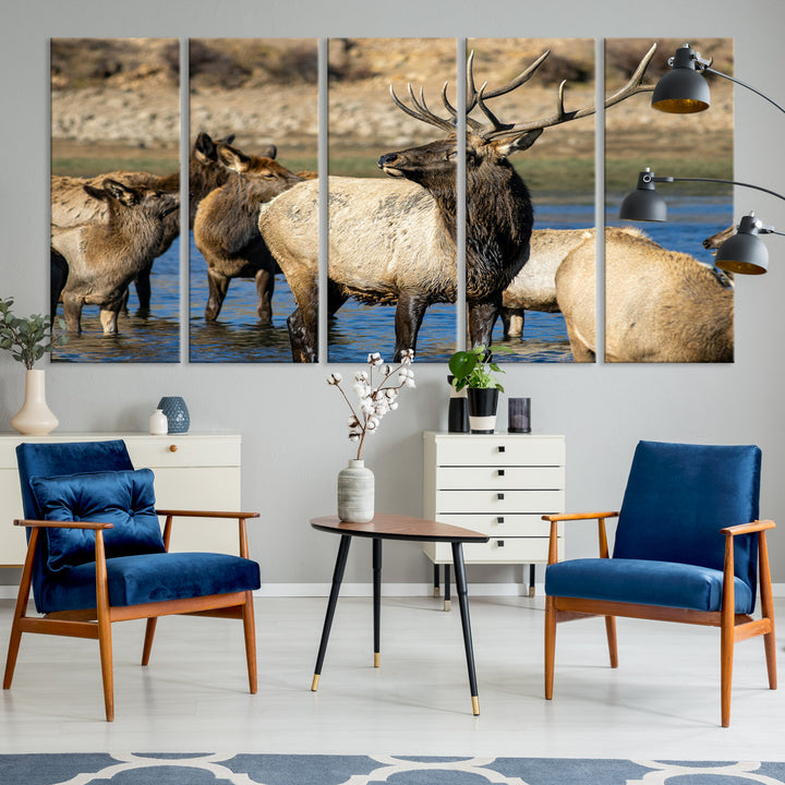 Group of elk standing in shallow water with dry rocky terrain in the background, showcasing wildlife in a natural setting for rustic decor.