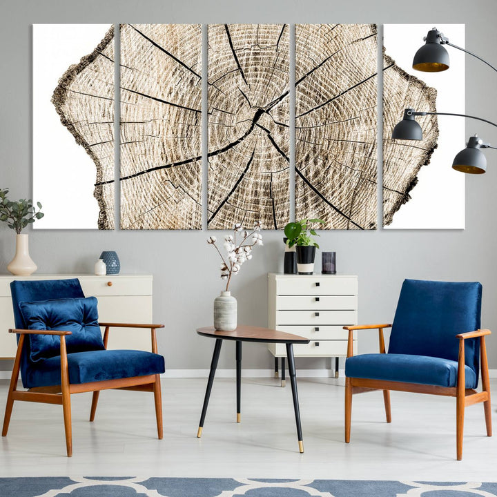 The Abstract Wood Tree Ring Wall Art set of 3 adds a minimalist touch to the space.