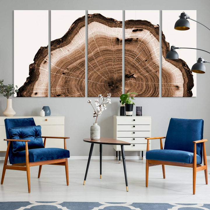 Close-up of the Rustic Wood Rings Wall Art featuring detailed tree rings and natural texture on a plain white background.