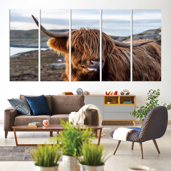 The Cuddly Highland Cow Canvas hangs, adding charm with its shaggy elegance.