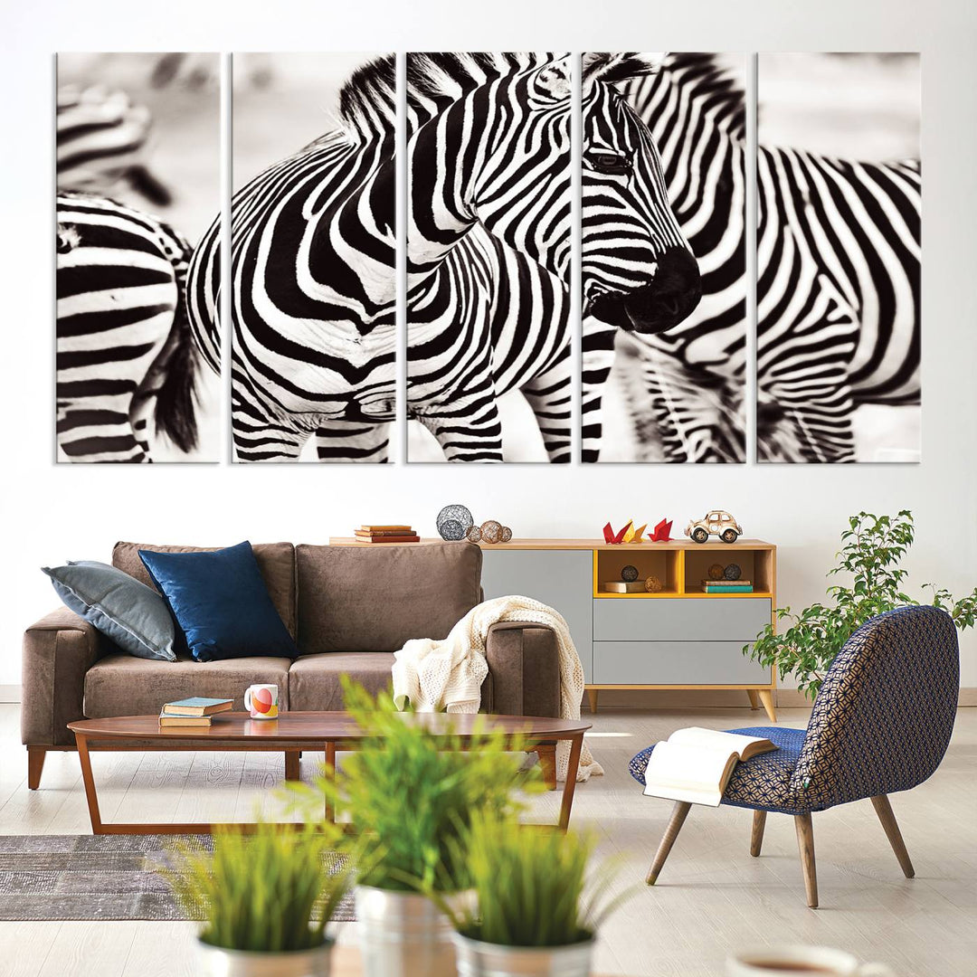 The Brilliant Zebra Photography Art Canvas Print hangs prominently on the wall.