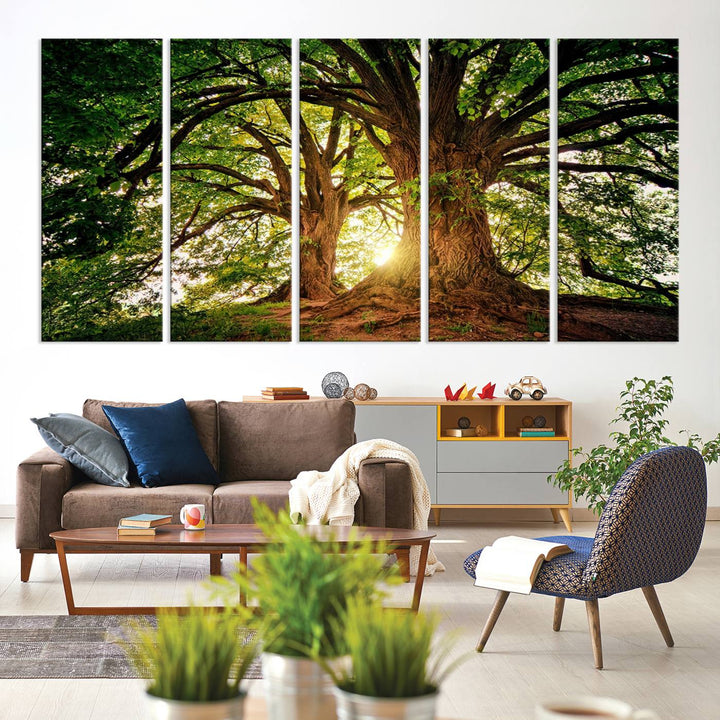 Majestic Ancient Tree Wall Art is illuminated by sunlit forest rays.