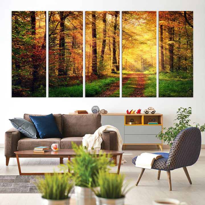 The Sunlight Through Trees Wall Art Canvas Print showcases a sunlit autumn forest and includes UV protection to ensure lasting vibrance.