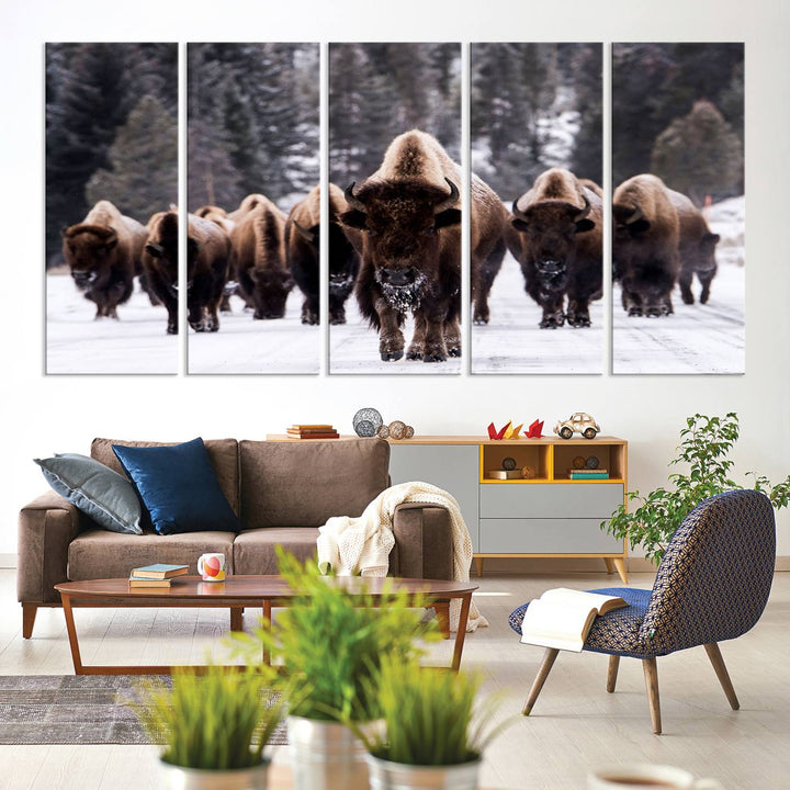 Bison Herd Canvas Wall Art.