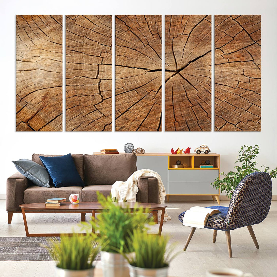 Tree Ring Canvas Art decorates a textured wall.