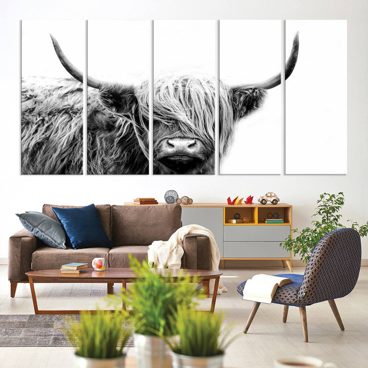 Framed Black and White Scottish Highland Cow Art Print.