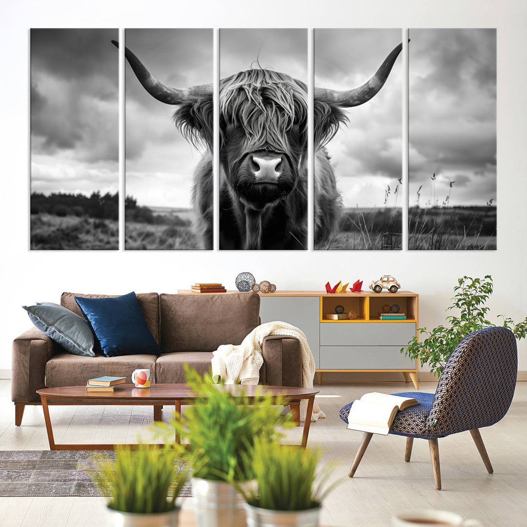 A large Scottish Cow Wall Art Canvas Print hangs on the wall.