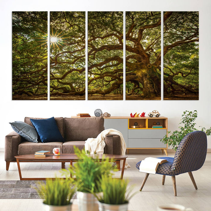 The Ancient Angel Oak Tree Art Sunburst Canvas Print, a framed triptych, serves as wall art.