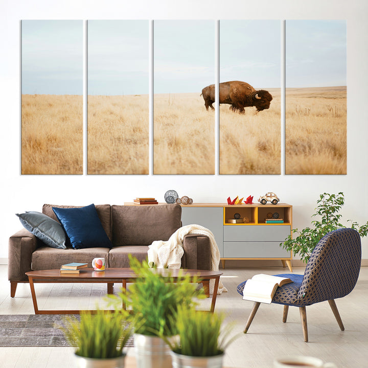 A lone bison standing in a vast golden grassland under a soft blue sky, evoking a rustic and Western aesthetic, ideal for farmhouse decor.