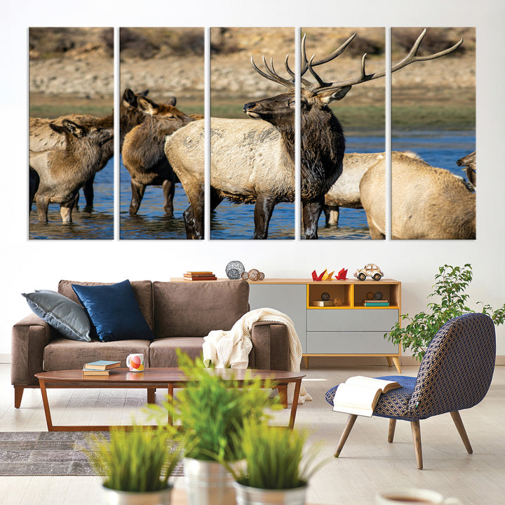 Group of elk standing in shallow water with dry rocky terrain in the background, showcasing wildlife in a natural setting for rustic decor.