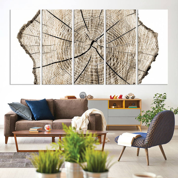 The Abstract Wood Tree Ring Wall Art set of 3 adds a minimalist touch to the space.