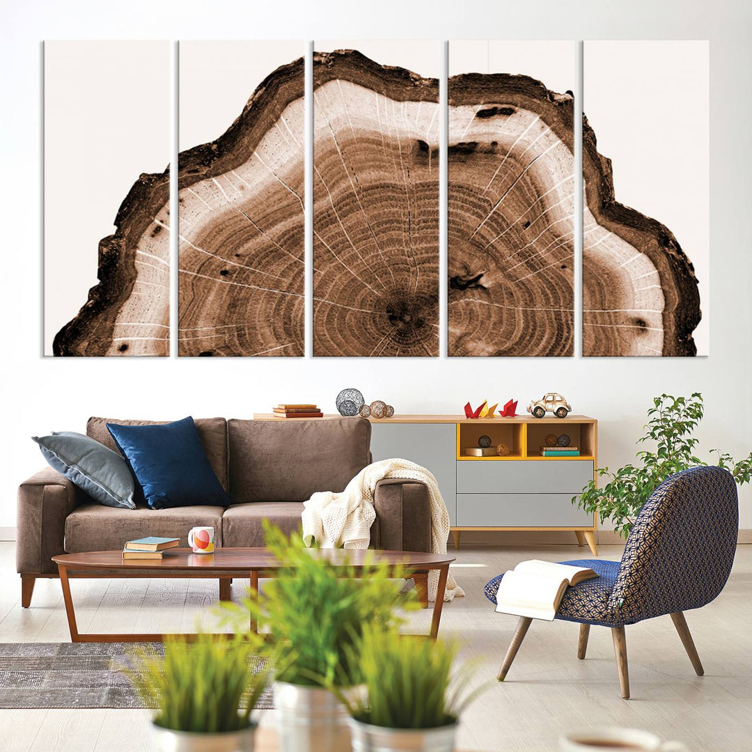 Close-up of the Rustic Wood Rings Wall Art featuring detailed tree rings and natural texture on a plain white background.