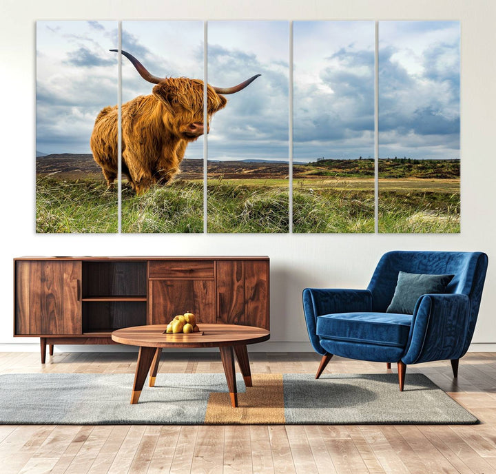 Highland Cattle Canvas Print: A minimalistic touch for any setting.