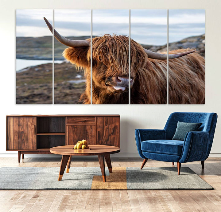 The Cuddly Highland Cow Canvas hangs, adding charm with its shaggy elegance.