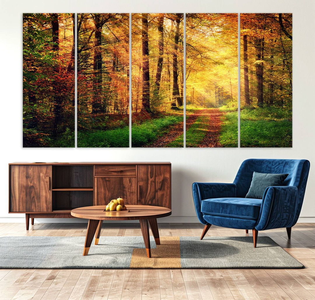 The Sunlight Through Trees Wall Art Canvas Print showcases a sunlit autumn forest and includes UV protection to ensure lasting vibrance.