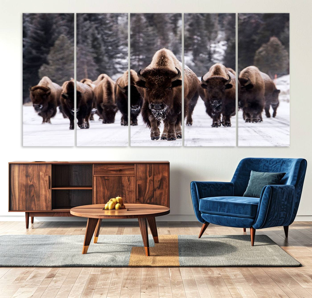 Bison Herd Canvas Wall Art.