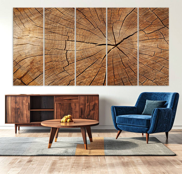 Tree Ring Canvas Art decorates a textured wall.