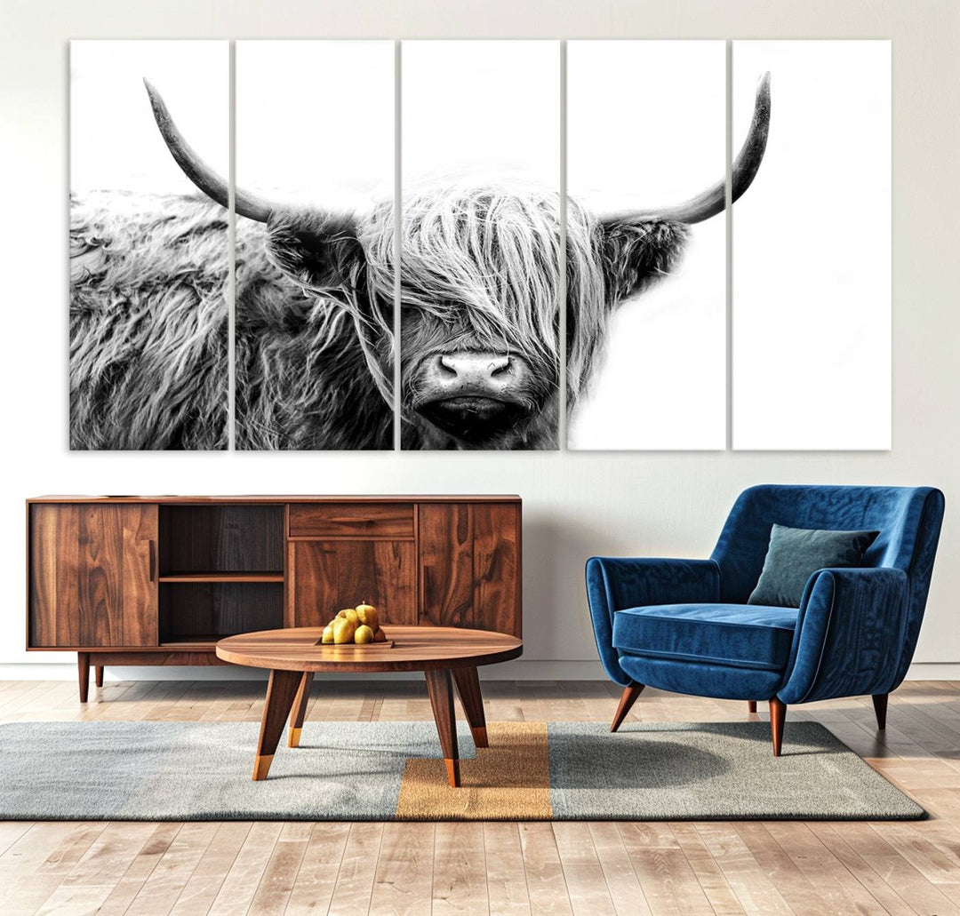 Framed Black and White Scottish Highland Cow Art Print.