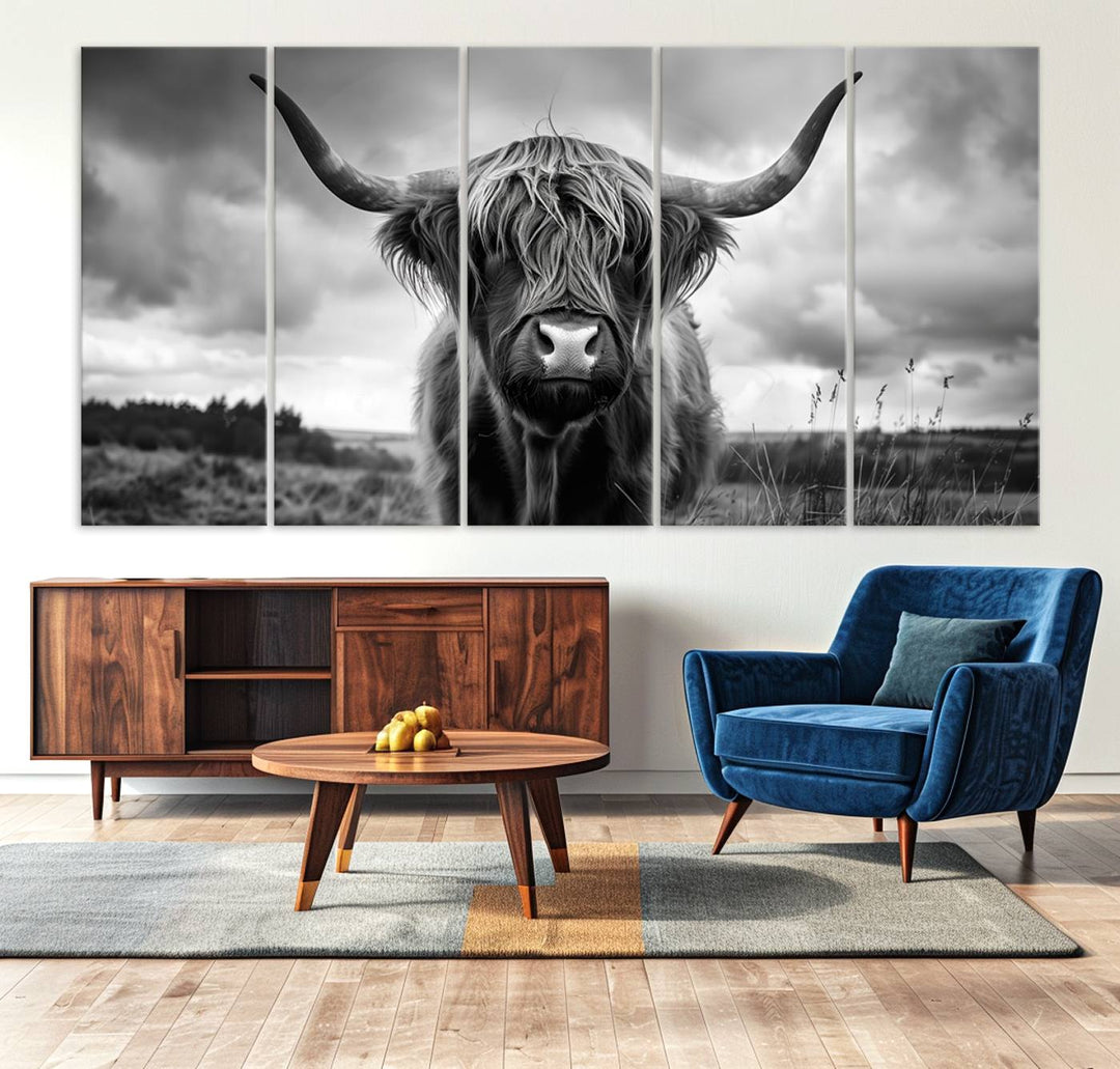 A large Scottish Cow Wall Art Canvas Print hangs on the wall.