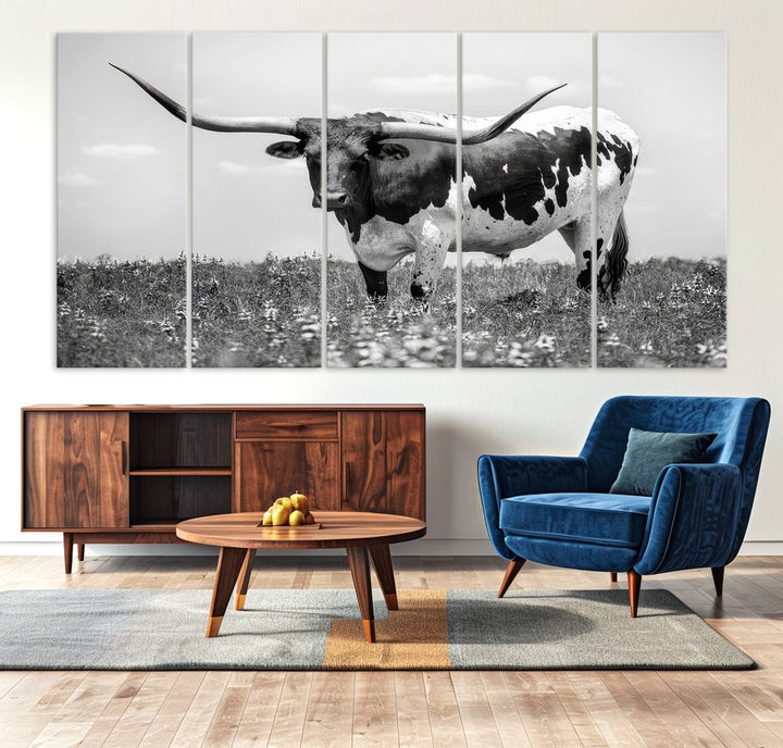 Texas Black White Highland Longhorn Cow Wall Art Canvas displayed on the wall.